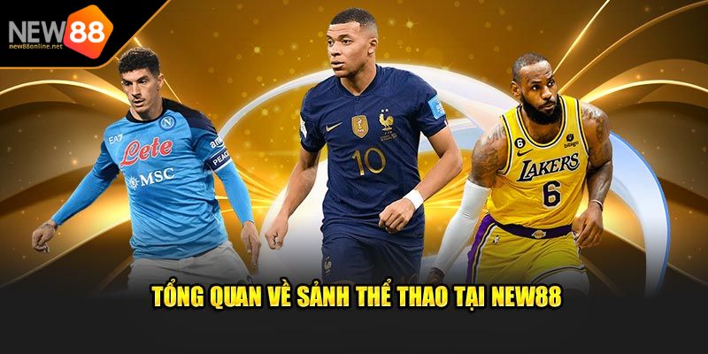 Thể Thao NEW88 4 Các sản phẩm cá cược thể thao NEW88 nổi bật