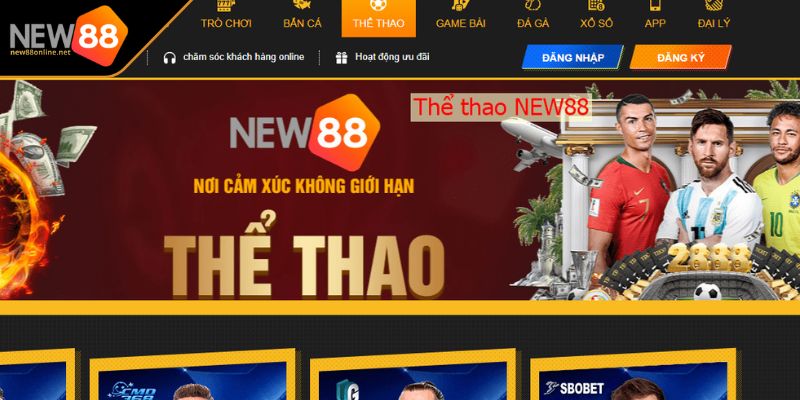 Thể Thao NEW88 1 Khám phá vài nét về sảnh thể thao NEW88