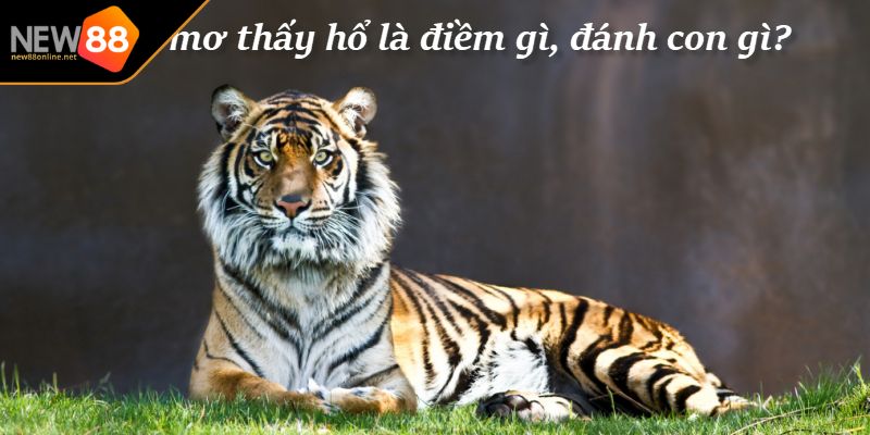 Nằm Mơ Thấy Cọp Giải Mã Chi Tiết Và Con Số May Mắn Liên Quan 3 Nằm mơ thấy cọp với nhiều con