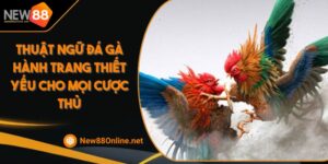 Thuật Ngữ Đá Gà Hành Trang Thiết Yếu Cho Mọi Cược Thủ