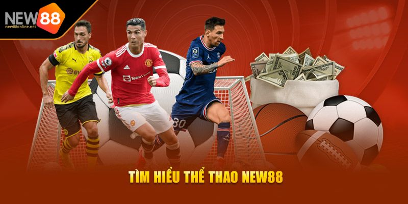 Bóng Đá NEW88 Sân Chơi Cá Cược Uy Tín Hàng Đầu Châu Á 1 Tìm hiểu về sảnh cược bóng đá NEW88