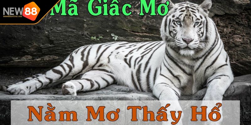 Nằm Mơ Thấy Cọp Giải Mã Chi Tiết Và Con Số May Mắn Liên Quan 1 Ý nghĩa khái niệm nằm mơ thấy cọp